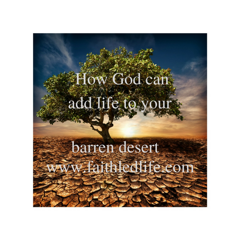 Read more about the article Life in a Barren Desert